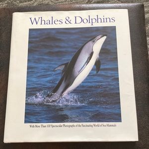 Whales and dolphins 🐬 vintage 1990 book